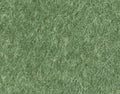 Half Oval PET Felt Acoustic Board