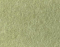 Linea PET Felt Acoustic Wall Panel